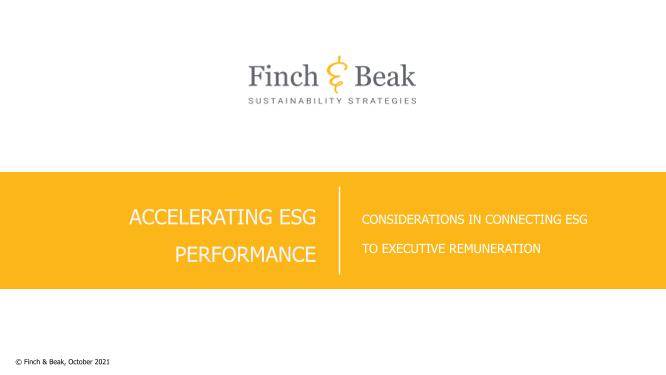 Checklist for Connecting ESG Metrics to Executive Remuneration